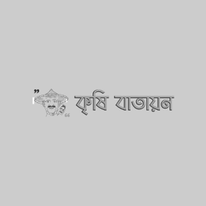 বাদামি ঘাস ফড়িং