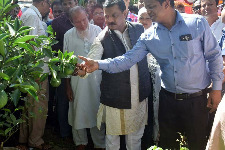 ফলদ বৃক্ষমেলা ২০১৮